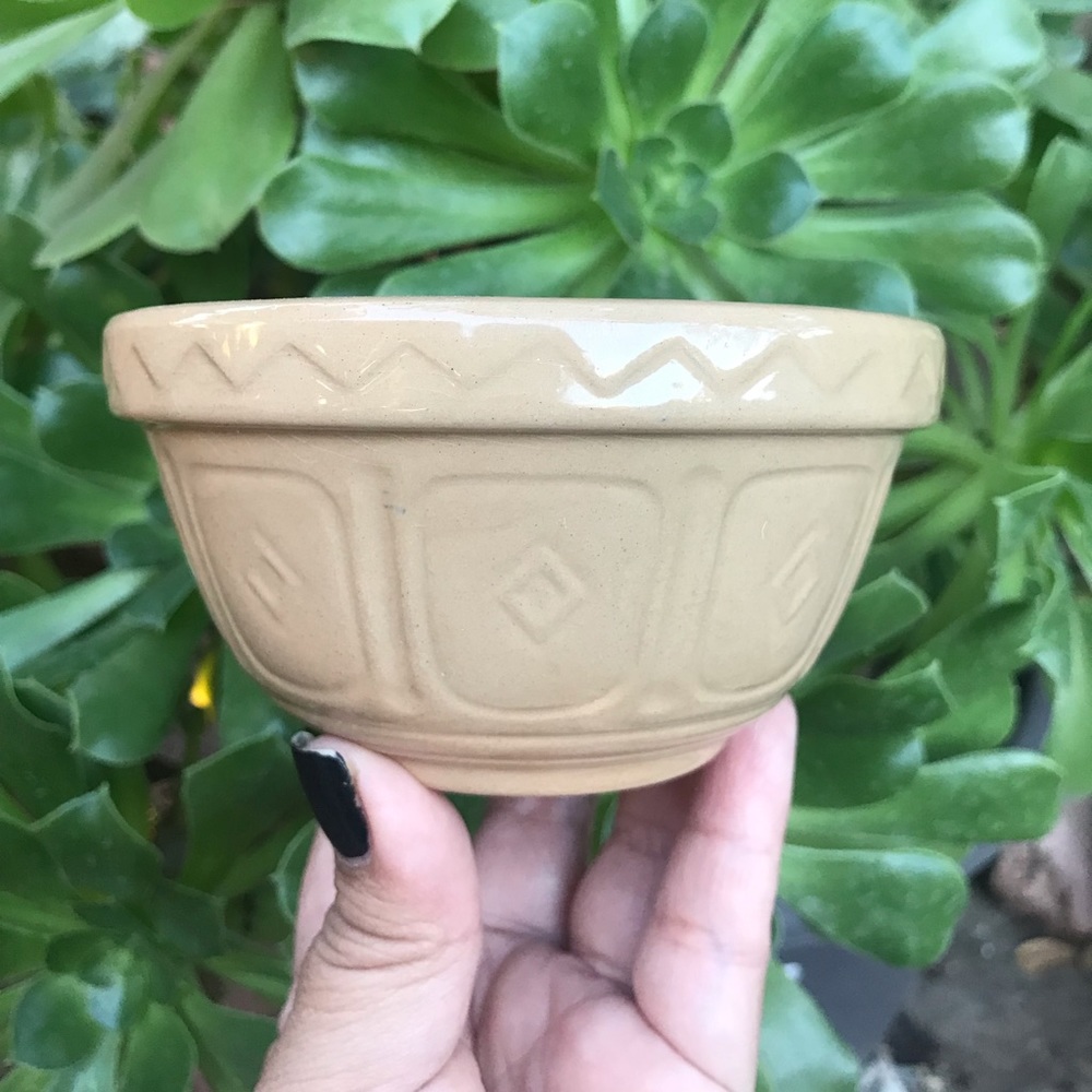 Southwestern Style Bowl